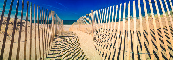 Color infrared panorama of Sand Fence at Sandy Neck Beach, Barnstable