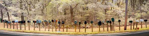 Color infrared panorama of Mailboxes, Chilmark, Martha’s Vineyard