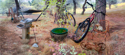 Color infrared panorama of Chilmark Writing Workshop, Martha’s Vineyard