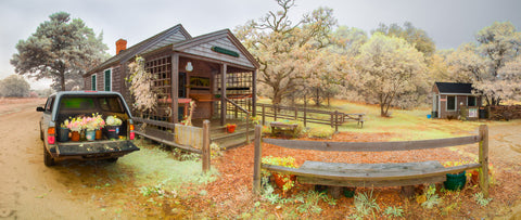 Color infrared panorama of Chappy Schoolhouse, Martha’s Vineyard