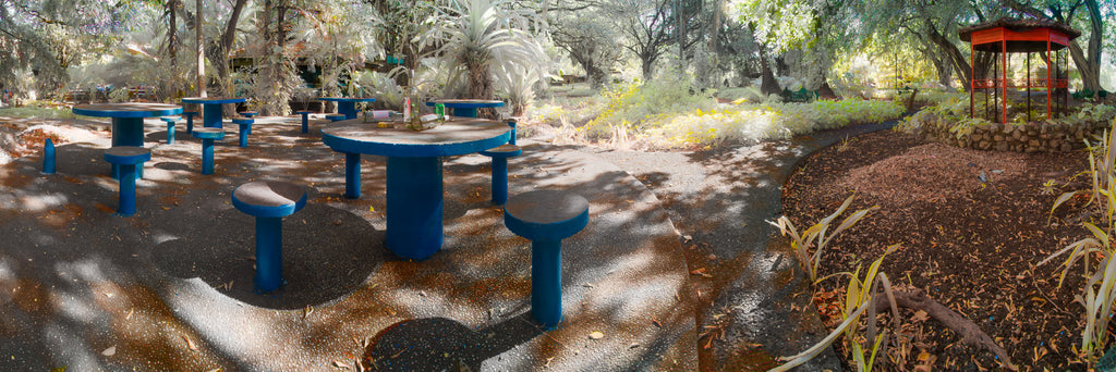 Color infrared panoramic photo of Picnic Benches, Almendares Park, Havana, Cuba