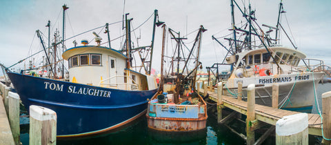 Color infrared panorama of Fishing Boats, Hyannis