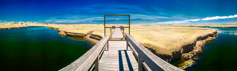 Color infrared panorama of Sandwich Boardwalk