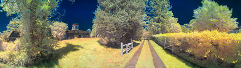 Color infrared panorama of Barn & Driveway Behind the Edward Gorey House, Yarmouth Port