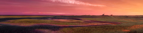 Color infrared panorama of Salt Marsh & Race Point Light Station at Sunset, Provincetown