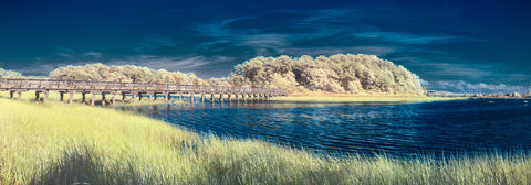 Color infrared panorama of Uncle Tim’s Bridge, Wellfleet