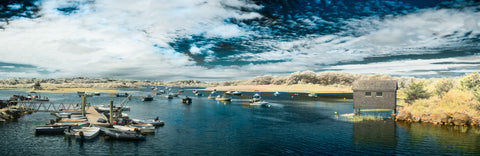 Color infrared panorama of Nashaquitsa Pond, Martha’s Vineyard