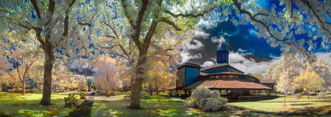 Color infrared panorama of Iron Tabernacle, Oak Bluffs, Martha’s Vineyard