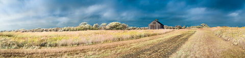 Color infrared panorama of Sanford Farm & Ram Pasture, Nantucket