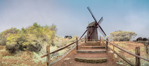 Color infrared panorama of Old Mill, Nantucket