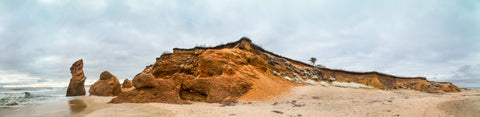 Color infrared panorama of Lucy Vincent Beach, Martha’s Vineyard