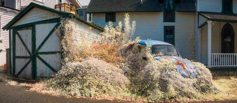 Color infrared panorama of VW Bug, Oak Bluffs,  Martha’s Vineyard