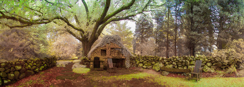 Color infrared panorama of Polly Hill Arboretum,  West Tisbury, Martha’s Vineyard