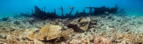 Underwater panorama of the Wreck of the City of Washington #1, Key Largo
